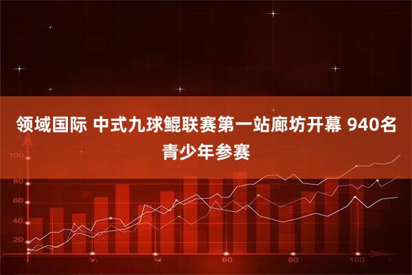 领域国际 中式九球鲲联赛第一站廊坊开幕 940名青少年参赛